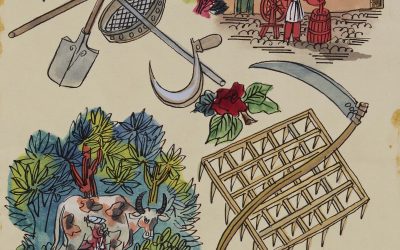 My time at the Warner Textile Archive researching Hans and Isabel Tisdall